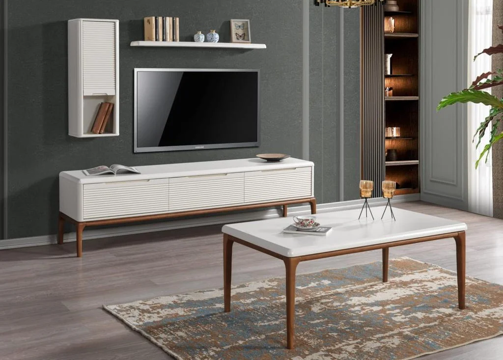 Zen Tv Ünitesi